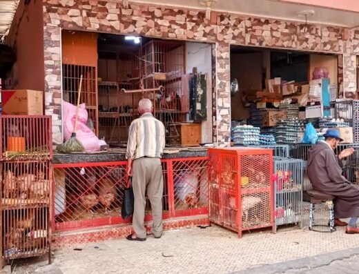 154 Marrakech