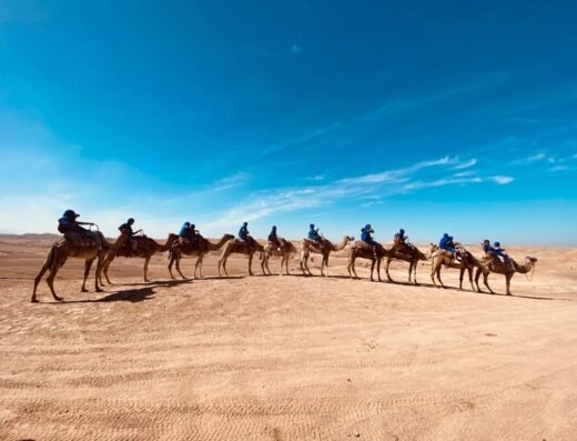 Agafay Camel Ride