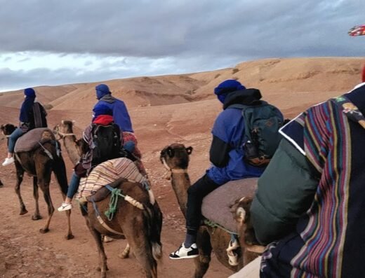 Agafay Camel Ride