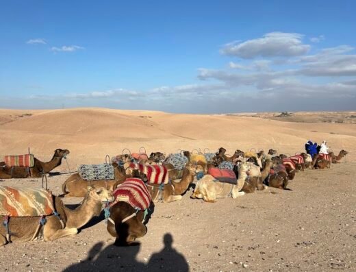 Agafay Desert