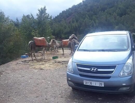 Ali Excursions Marrakech