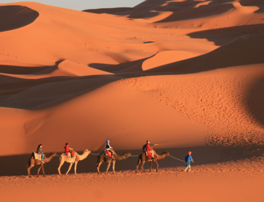 AUTHENTIQUE NOMADE MAROC Excursions Marrakech désert Maroc