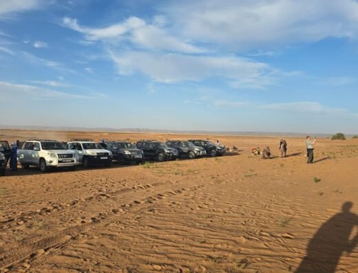 big bus transport touristique marrakech