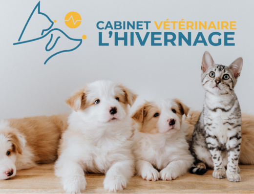 Cabinet Vétérinaire L&rsquo;Hivernage (Marrakech)