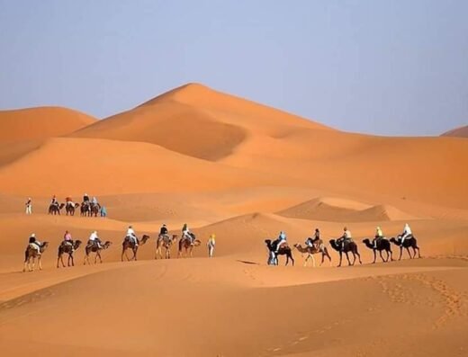 Camel ride Marrakech