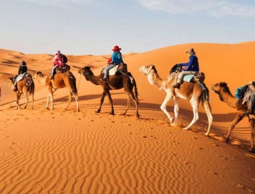 Camel Ride Marrakech