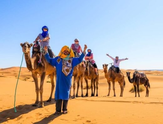 Chameau Marrakech, balade en dromadaire, excursion désert Agafay