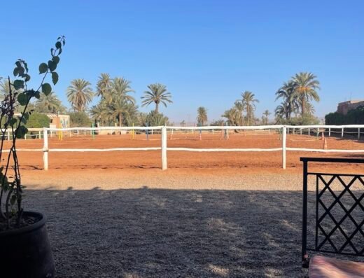 Club cheval Marrakech randonnée & balade