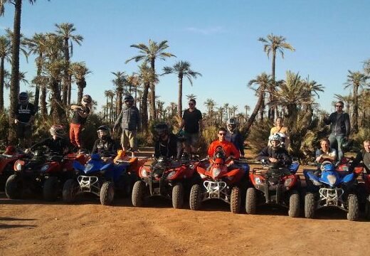 Dromadaire Marrakech – Cheval Quad & Buggy Marrakech Palmeraie