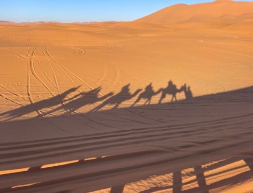 Excursion à Agafay, Essaouira, Merzouga, montagne d’Atlas (Ourika vallée) ….