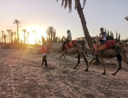Excursion à Agafay, Essaouira, Merzouga, montagne d’Atlas (Ourika vallée) ….