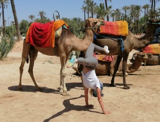 Excursion Marrakech Prix Pas Cher