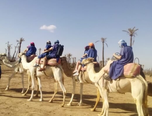 Excursions Quad Marrakech