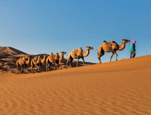Excursions Tours Marrakech