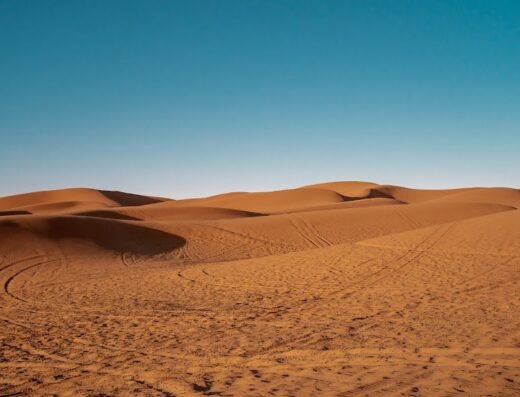 Experience Morocco