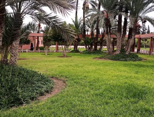 Faculté de Langue Arabe