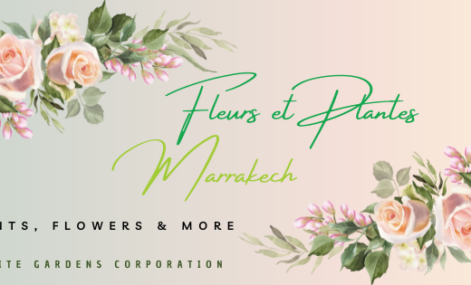 Fleurs et Plantes Marrakech