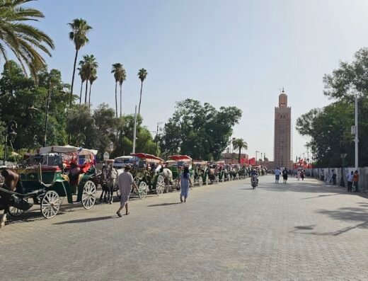 Free tour Marrakech guía turístico : Abdul Cuñao