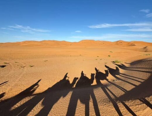 guide morocco tours