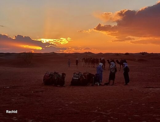 Guided tour of Marrakech and all of Morocco
