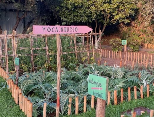 Ifoulki Yoga