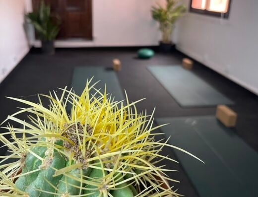 KIOZE – YOGA Marrakech, Studio Yoga 100% FEMMES, Pilates Marrakech, Dance Orientale, Boxe femmes, Cours de Yoga Marrakech