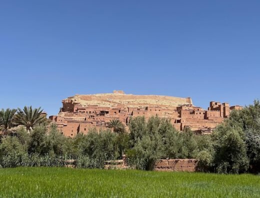 Les mordus de marrakech