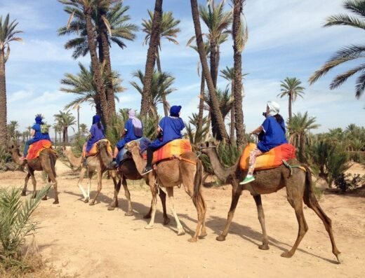 Maroc Excursions & Events