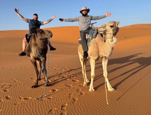 Marrakech Camel trips