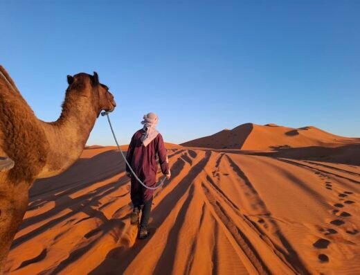 Marrakech Desert Tours