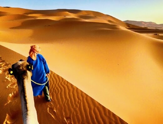 Marrakech Excursions: Camel Rides, Quad Biking & Day Tours