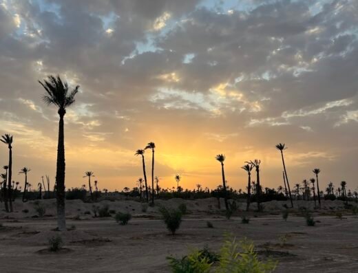 Marrakech Insiders