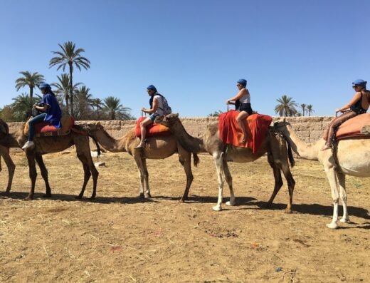 Marrakech Palmeraie Quad & Camel Tours