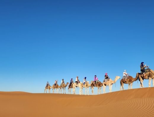 Marrakech Private Tour Guide
