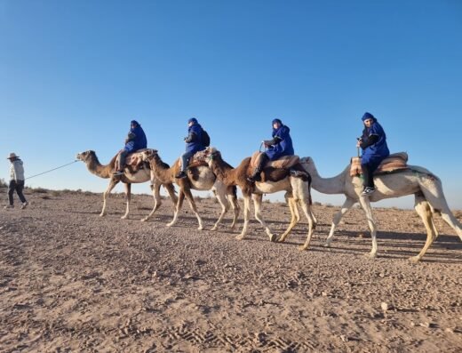 Marrakech quad tours