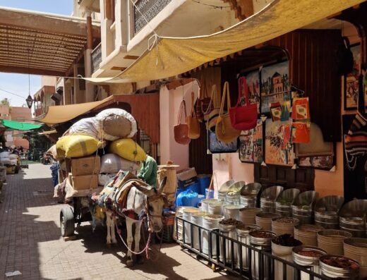 Marrakech street food safari