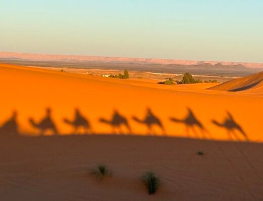 Marrakech Sweet Travel : Tours & Excursions, Shared Group Morocco Sahara Desert Trips