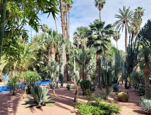 Marrakech Tour Guide – Majid BARAKA