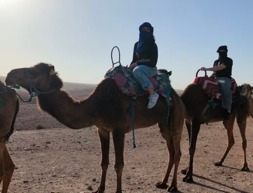 marrakech tours experience
