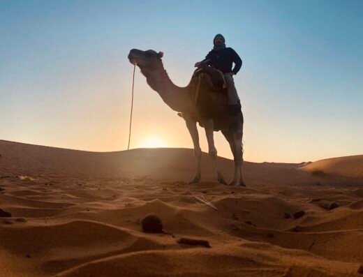 Marrakech Tours Specialist