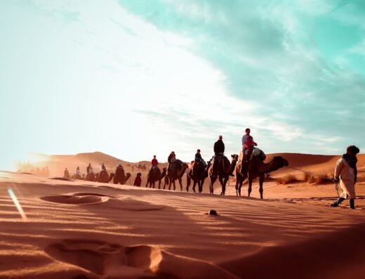 MARRAKESH TRAVEL SERVICES