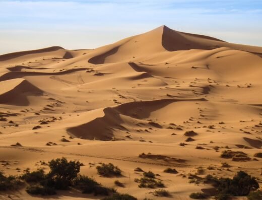 Morocco Camel Trekking