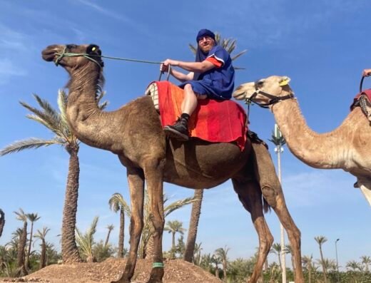 Palmeraie Marrakech