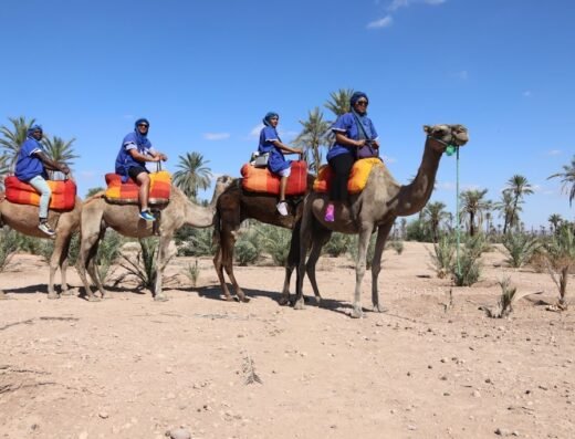 Palmerie Marrakech Activities camel ride & quade bike .