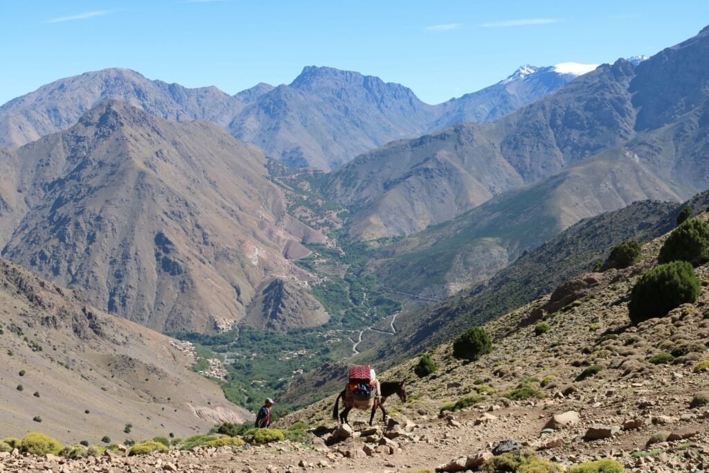 randonnée Haut Atlas depuis Marrakech