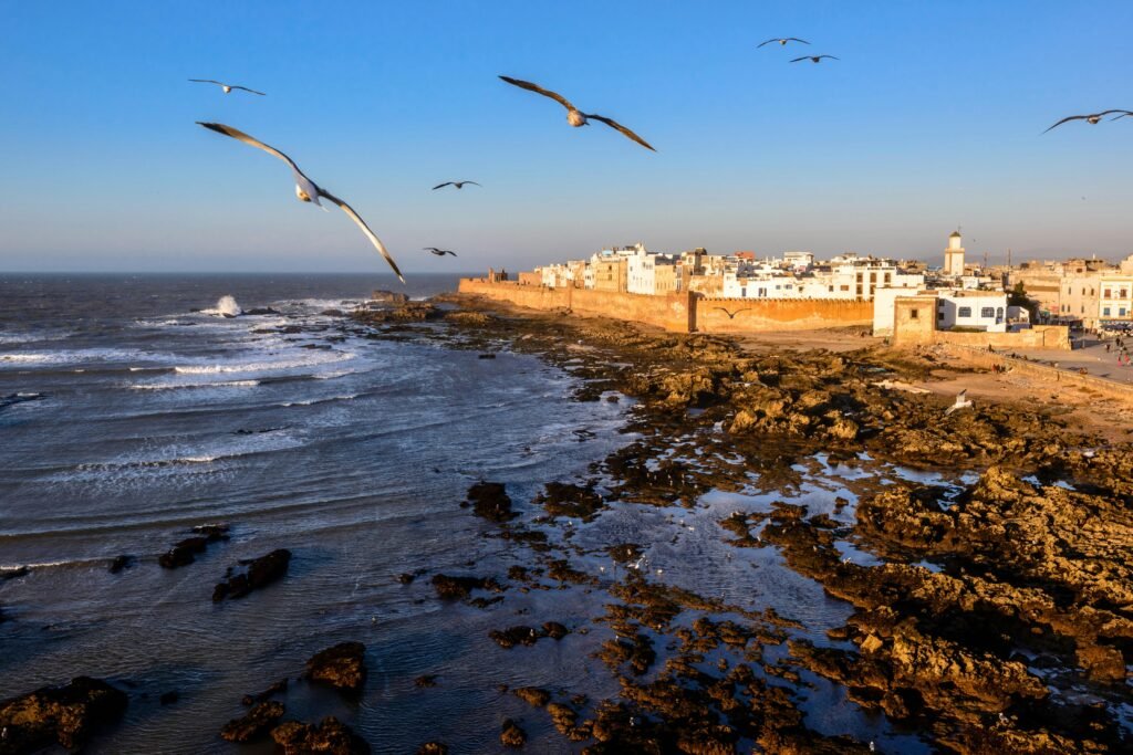 excursion Essaouira depuis Marrakech