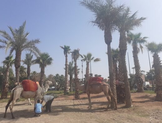 Place Bab Jdid