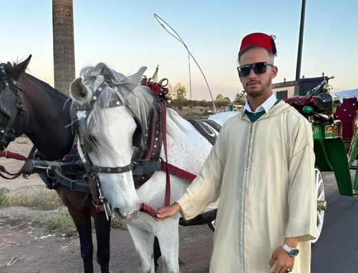 Private Horse Carriage Tour of Marrakech with Hamada Marrakech, Morocco