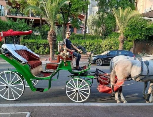 Private Horse Carriage Tour of Marrakech with Hamada Marrakech, Morocco