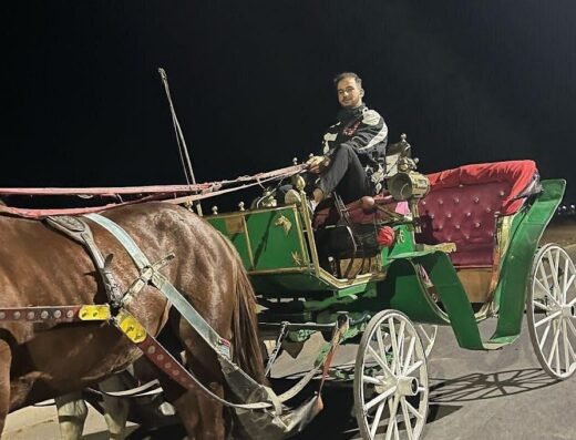 Private Horse Carriage Tour of Marrakech with Hamada Marrakech, Morocco